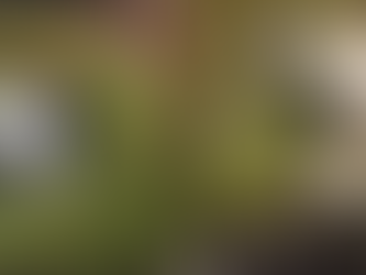 Homem executado na Avenida Brasil é identificado; bebê baleado segue internado