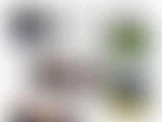 Jornal Gazeta de Varginha Edição 11.794