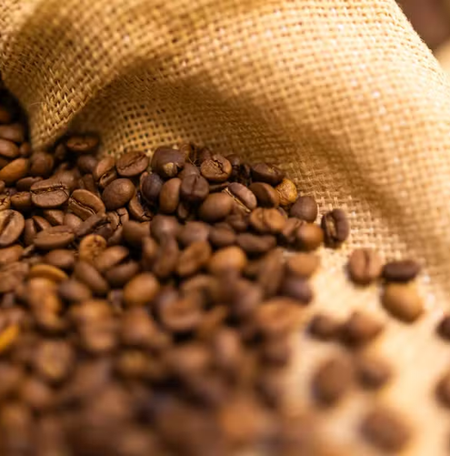 Preço do café deve recuar com safra recorde, mas não por tarifas de Trump, diz Abic