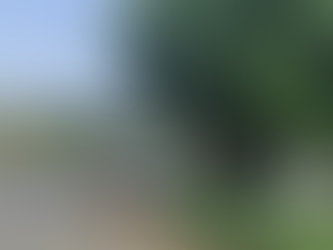 Carro capota e invade quintal de residência na BR-459 em Santa Rita do Sapucaí