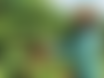 Safra no Sul de Minas enfrenta desafios e reforça uso de tecnologia no campo