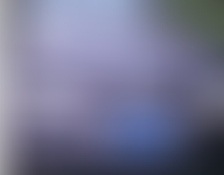 Condutor é arremessado e não resiste após acidente na MG-184, em Alterosa