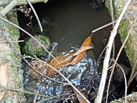 MP recomenda ações à Copasa e à Prefeitura de Nova Resende por falhas no abastecimento