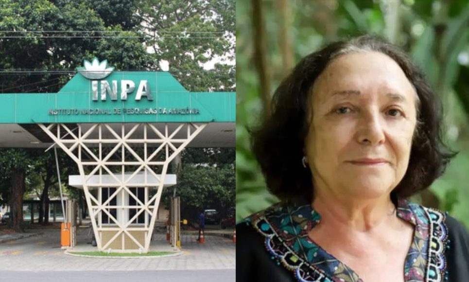 Bióloga do Inpa conquista principal prêmio da ciência no Brasil