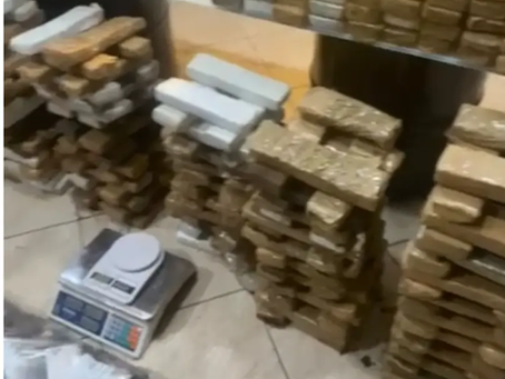 Operação do Comando Tático encontra centenas de barras de maconha em chácara