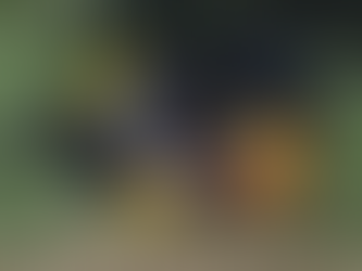 Homem fica preso em carro após falha nos freios e é resgatado pelos bombeiros em Maria da Fé