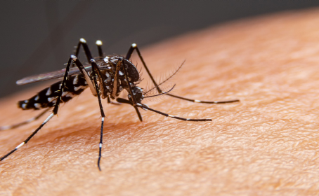 Minas Gerais contabiliza 43 mortes confirmadas por dengue em 2026, mais de 43 mil casos confirmados e 26 óbitos ainda sob investigação