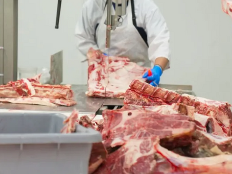 Exportação de carne bovina registra segundo melhor desempenho para a 2ª semana de novembro
