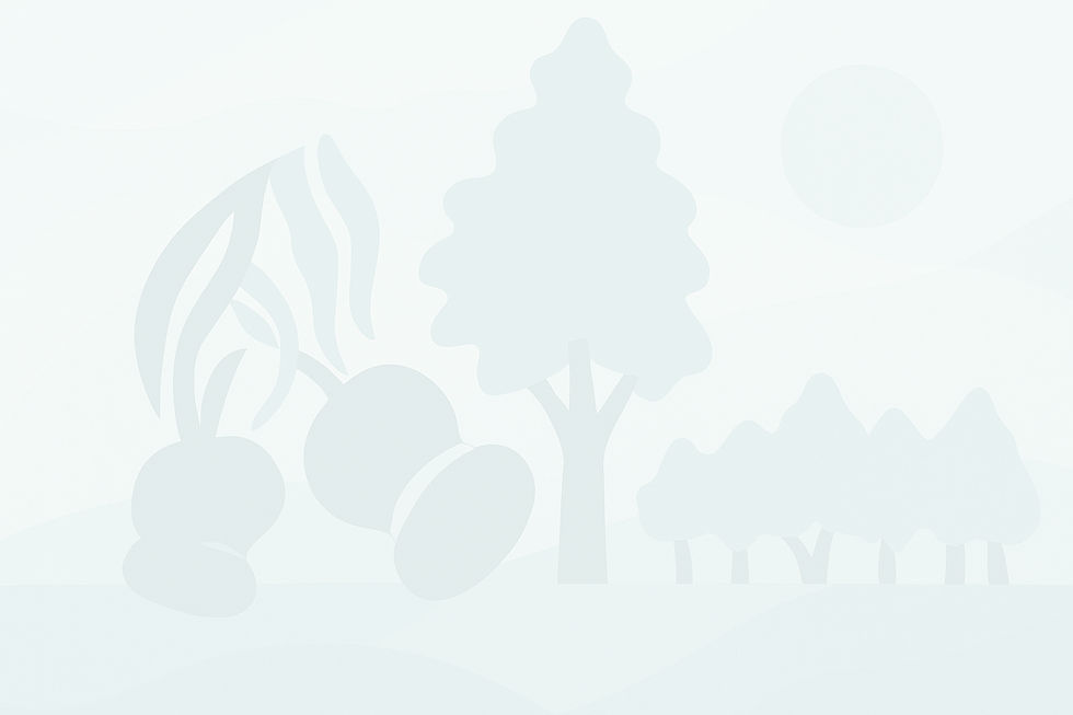 background image 2_edited_edited_edited.jpg