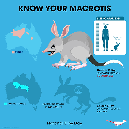 LESSER BILBY/YALLARA | Extinction Cometh