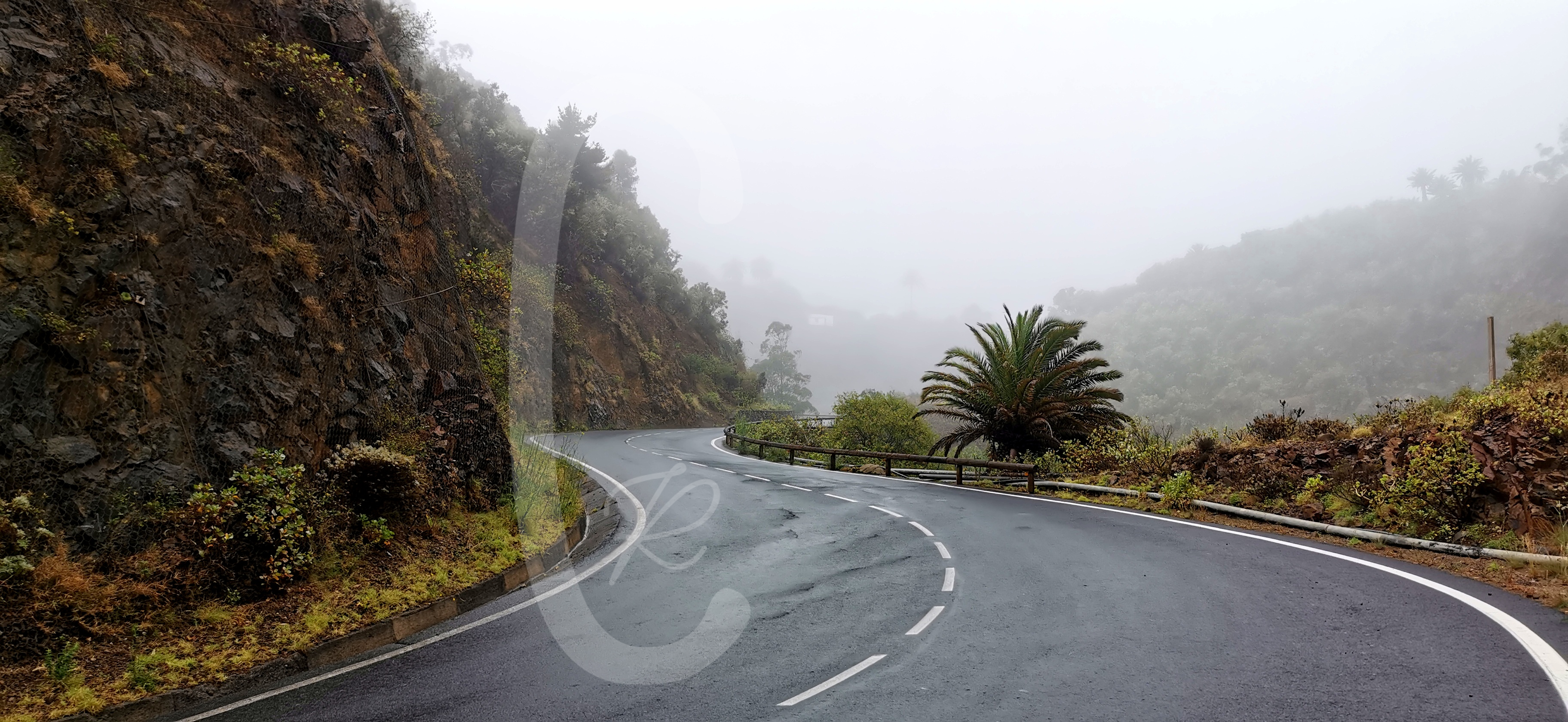 Strasse im Nebel