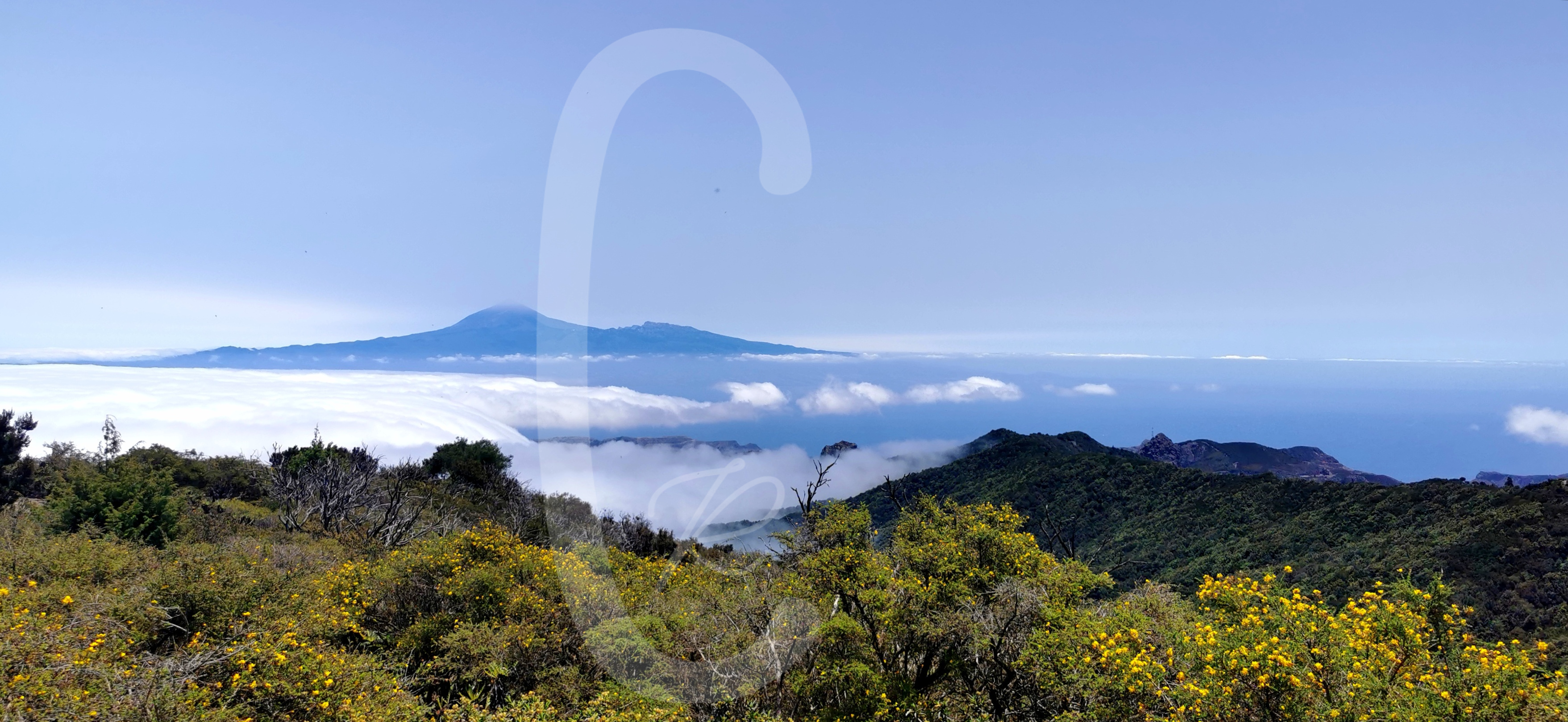 El Teide