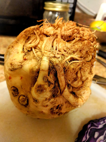 Celery Root or Celeriac