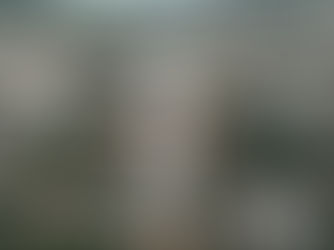 Fires of Devotion: Discovering Divine Grace at Thiruvannamalai Temple