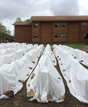 season extender- floating row cover.jpg