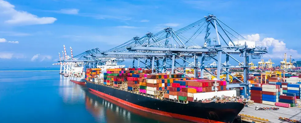 largest-container-ships.webp