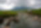 Copy of visitscotland_32552117456.jpg