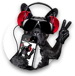 PPpetsitter.png