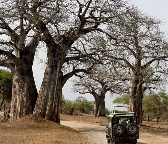 jeep-on-dirt-road-2024-09-27-11-20-46-utc.jpg