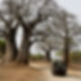 jeep-on-dirt-road-2024-09-27-11-20-46-utc.jpg