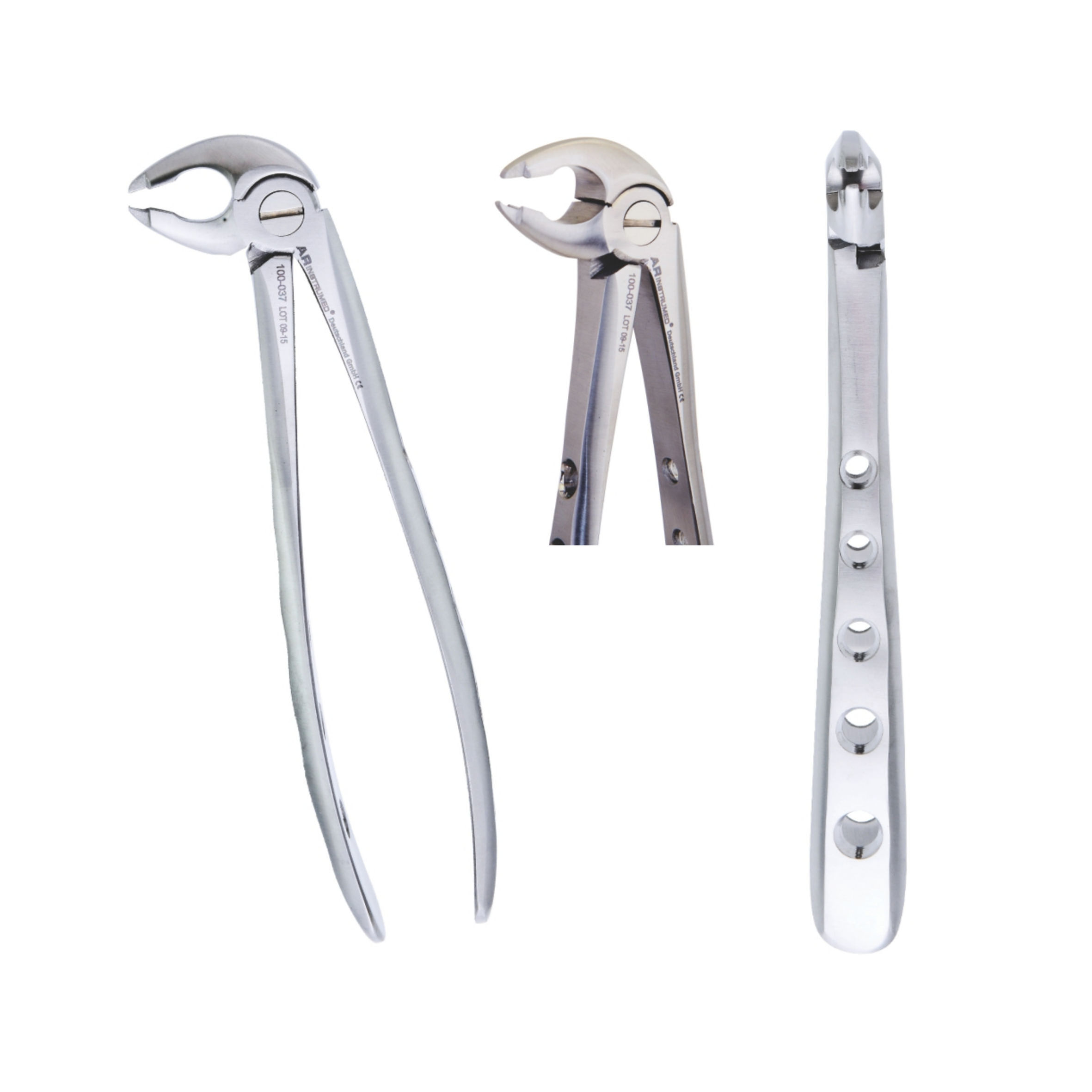 Zahnzange Fig 36  Lower Premolars Gripping In Depth
