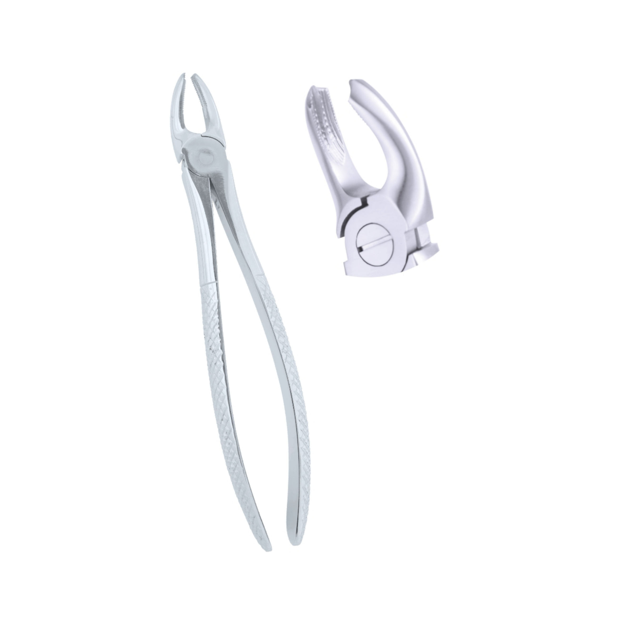 Zahnzange Fig 18A Upper Molars Either Side Micro Extracting