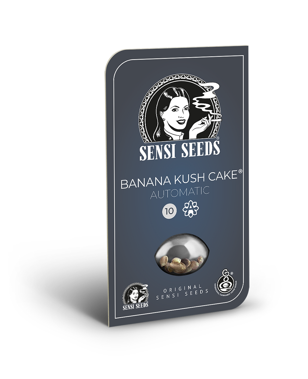 Thumbnail: Banana Kush Cake | Auto | Sensi Seeds Verpackung
