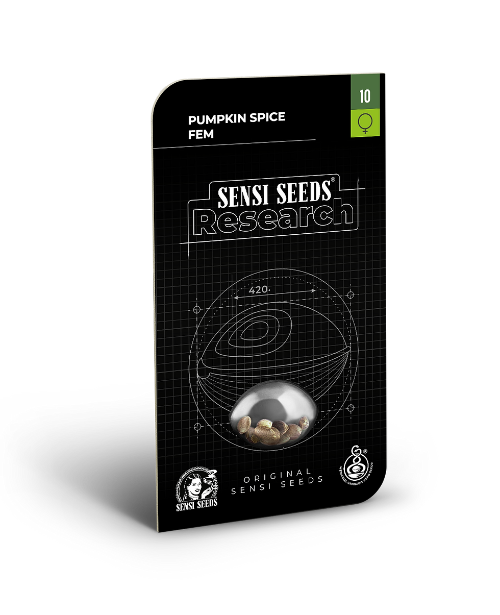 Miniaturbild: Pumpkin Spice | feminisiert | Sensi Seeds Verpackung