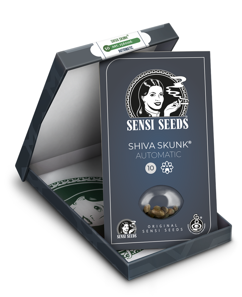 Thumbnail: Hanfsamen Shiva Skunk | Auto | Sensi Seeds, in Verpackung