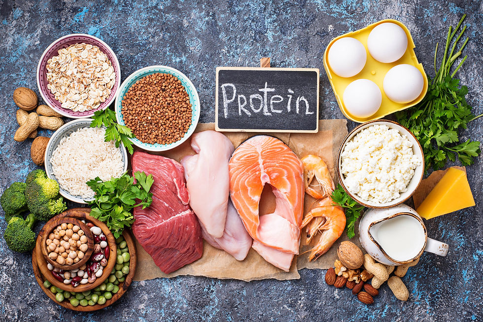 protein for fat loss in midlife