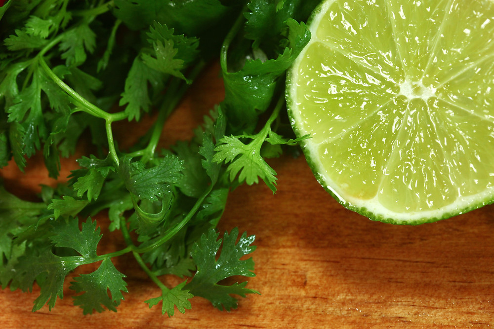 Cilantro Lime Shrimp Marinade