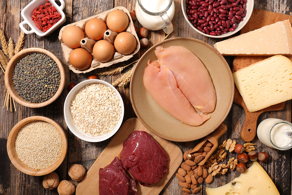 Examples of Protein Sources