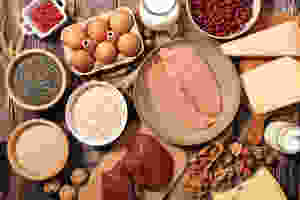 Examples of Protein Sources