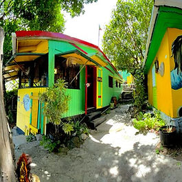 Freedom Fighters Ital Shack
