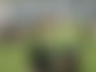 Na neutralnym terenie o przełamanie [BĘDZIE LIVE]