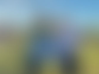 Biało-zieloni rozpoczynają walkę w Pucharze Polski