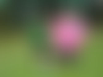 Nie przestraszyli się aury