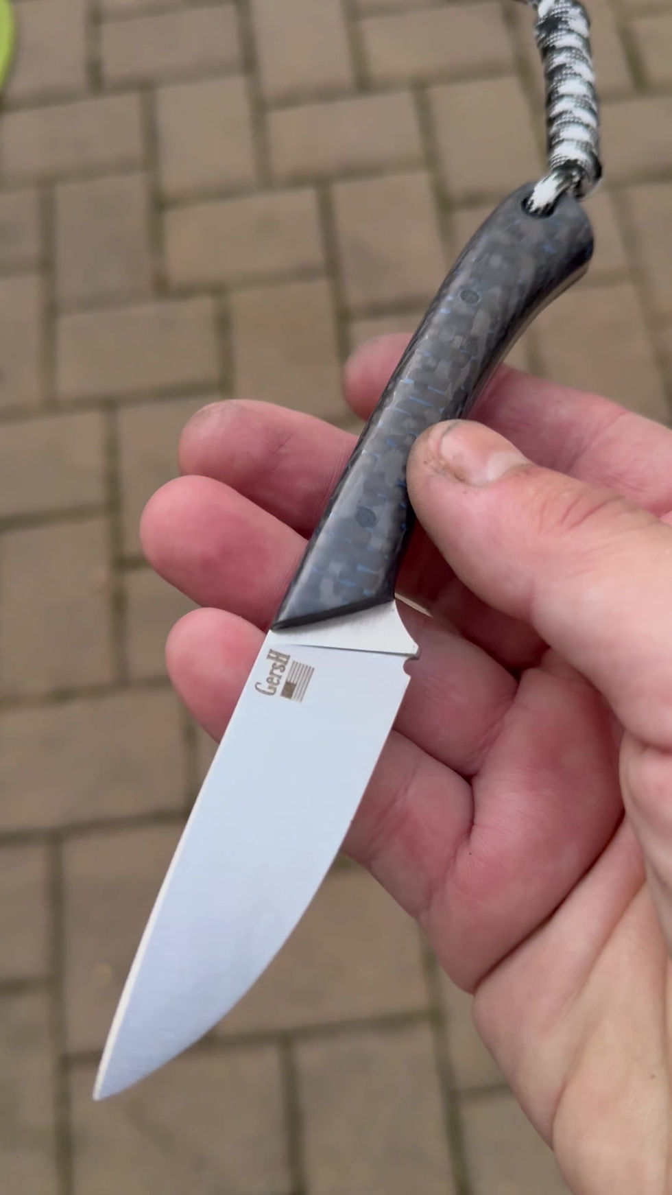 Thumbnail: Carbon Fiber Bird and Trout Hunter