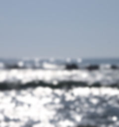AE856E4A-D298-4644-A7D7-C3D8D3E42F58.jpe