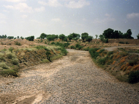 Spate Irrigation in the Tihama