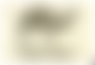 A Sailor and His Camel Ride