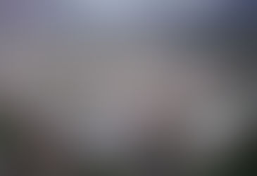 Forum on Climate Change in Yemen