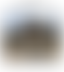 Symposium on Socotra