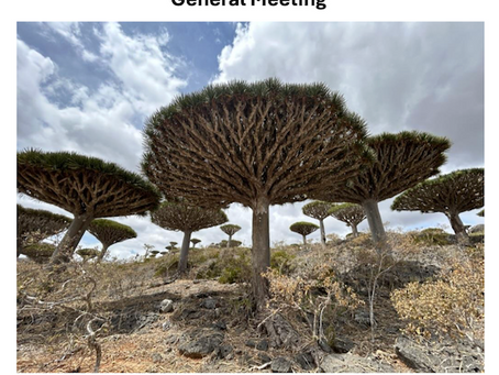 Symposium on Socotra