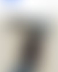 White dhura (sorghum)