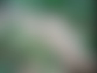 Canopus (suhayl) and Yemeni agriculture