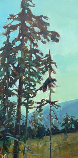 Pining for the Hills