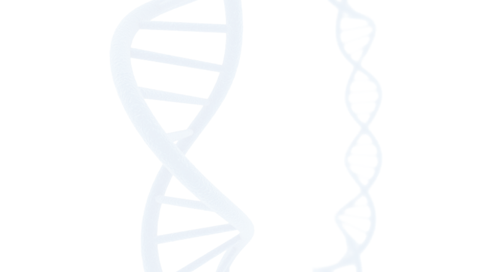 home-page-banner-2.png