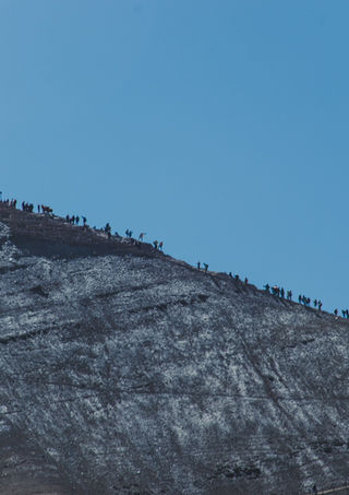 _DSC6660