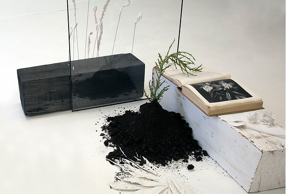 Reading about 3.m.jpg